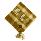 Arabic Shal - Re-17-