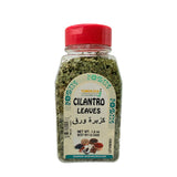 YEMEN USA - Cilantro Leaves 1.5oz